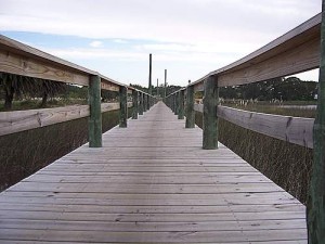 Educación vial para peatones en Montevideo