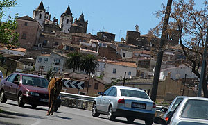 En la provincia de Santa Fe, Argentina, se llevó un procedimiento vial