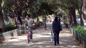 Propuesta de reforma del reglamento de tránsito en la Ciudad de México