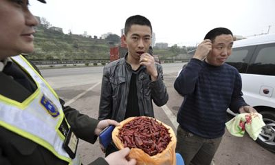 La policía china realiza una campaña de seguridad vial repartiendo chiles picantes