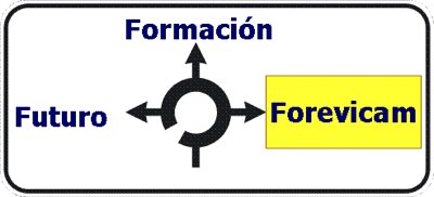 Forevicam pide colaboración a Tráfico para mejorar la formación vial