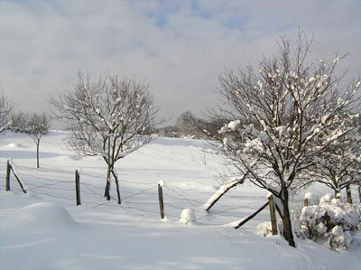 Alto riesgo de nevadas en Asturias y León durante jueves y viernes