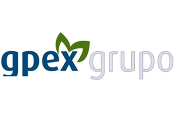 Seguridad vial en empresas: Gpex grupo