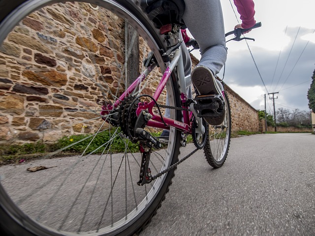 Celebración #Dí­aMundialDeLaBicicleta y campaña #AlmasCiclistas